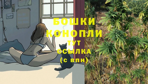 метадон Абаза